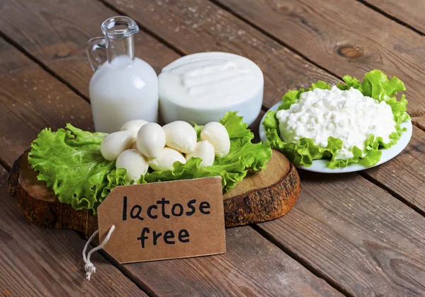 Milch Joghurt Mozzarella Und Käse Mit Hintergrund Laktosefreie Lebensmittel — Stockfoto