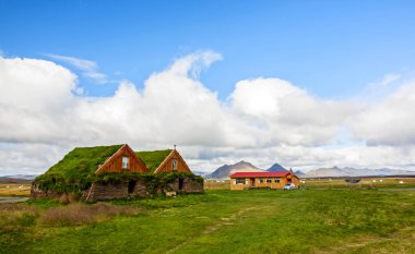 İzlanda - İzlanda gras ile tipik yeşil evler çatı 