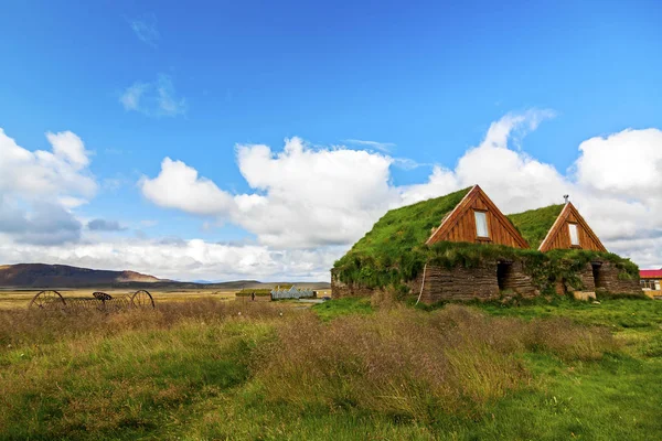 Typowe Domy Zielona Gras Dachu Islandii Islandia — Zdjęcie stockowe