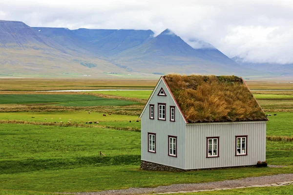 Casas Verdes Típicas Com Telhado Gras Islândia Iceland — Fotografia de Stock