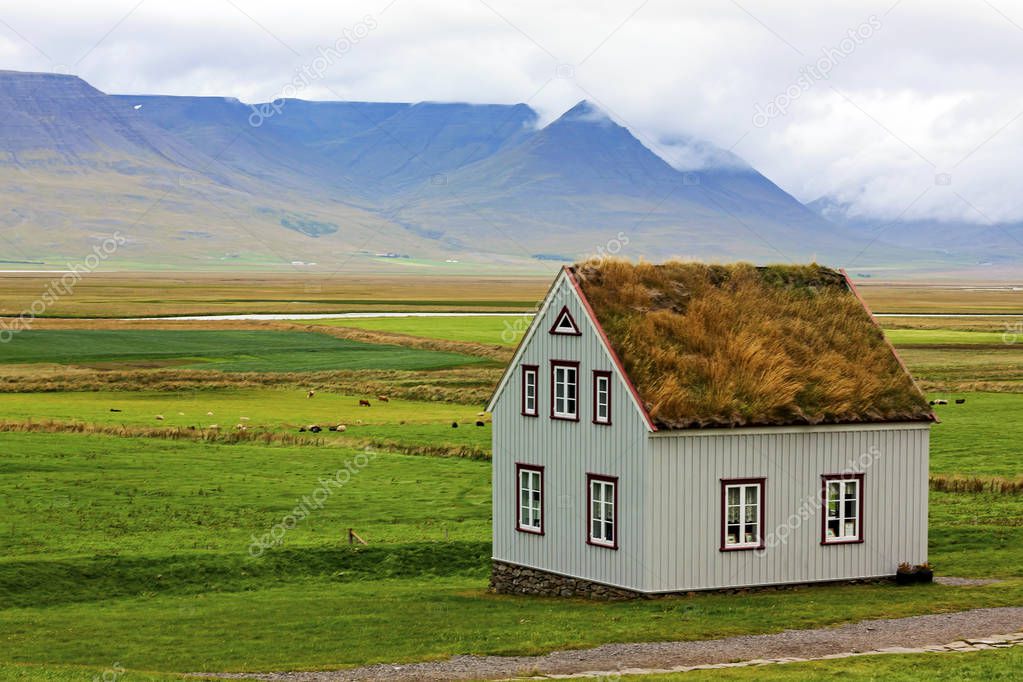 typical green houses with gras roof in iceland - iceland 