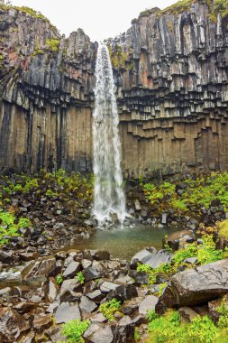 Svartifoss şelale Skaftafell Milli Parkı, İzlanda