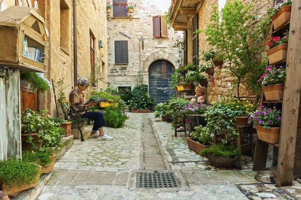 Romántica calle floral en Spello, ciudad medieval en Umbría, Italia. Famoso por callejuelas estrechas y balcones y ventanas con flores — Foto de Stock