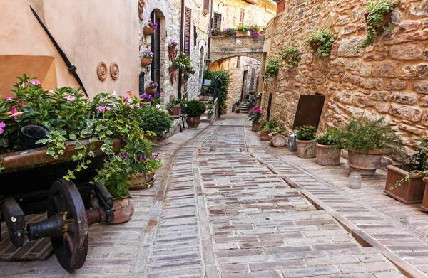 Romântica Rua Floral Spello Cidade Medieval Úmbria Itália Famoso Por — Fotografia de Stock