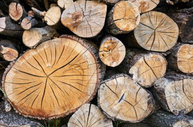 Arka plan olarak doğal ahşap zımba. Belki odun ya da sanayi için odun olur.