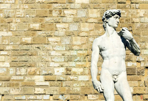 Große Replik Von Michelangelos Davidskulptur Auf Dem Platz Der Signoria — Stockfoto