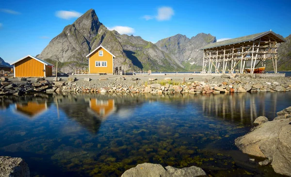 Tradizionale Casa Gialla Rorbu Fiocchi Essiccazione Stoccafisso Merluzzo Fiordo Norvegese — Foto Stock