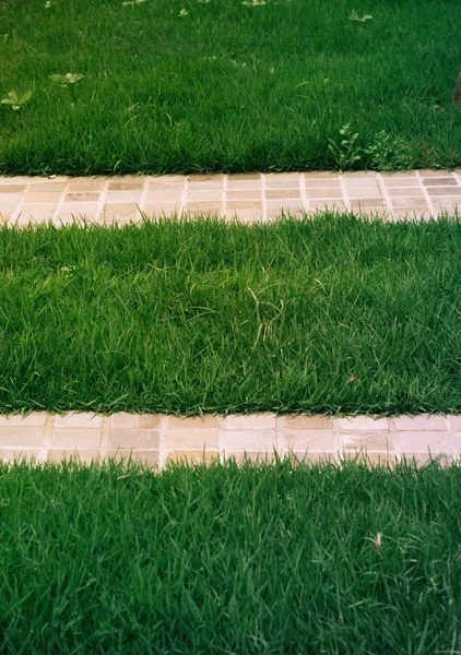 Beyaz çini geçit arka plan ile yeşil gass