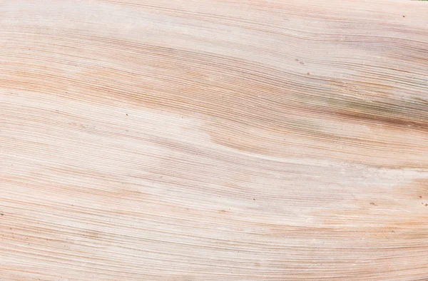 Kuru doğal palmiye yaprak, organik doku