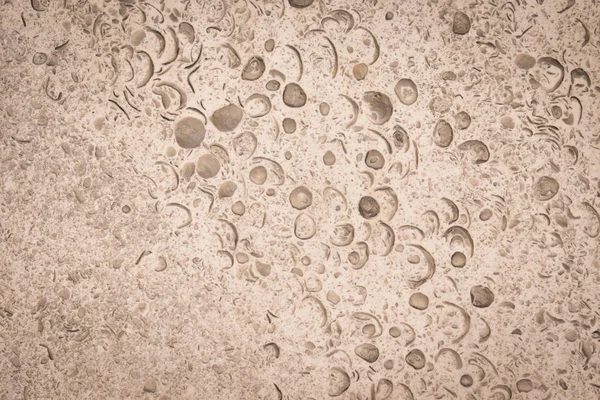 Kırmızı çilek arka plan, sulu çilek