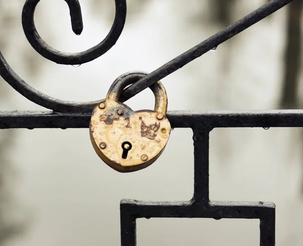 Yağmurlu bir günde, bac çite Vintage kalp şeklinde asma kilit