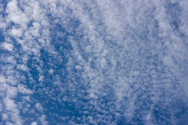 Blue sky and small clouds texture