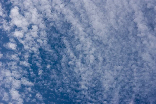 Blue sky and small clouds texture