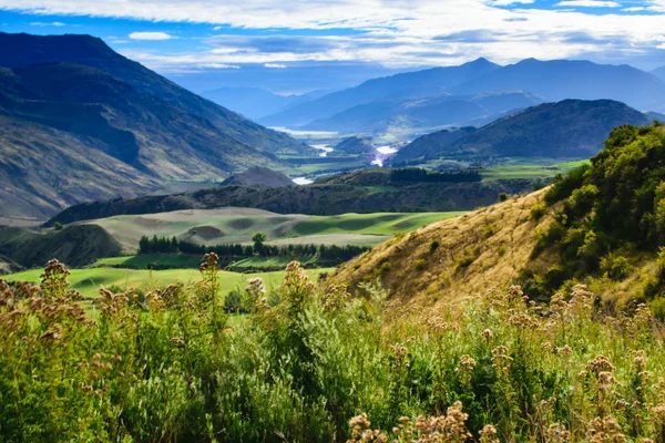 Nya Zeeland Land Sida Sagan Ringen — Stockfoto
