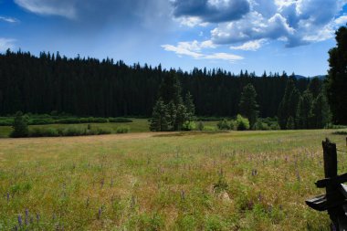 Ahşap çit ile çayır