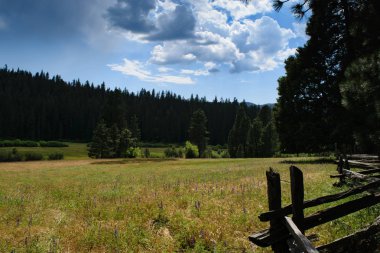 Ahşap çit ile çayır