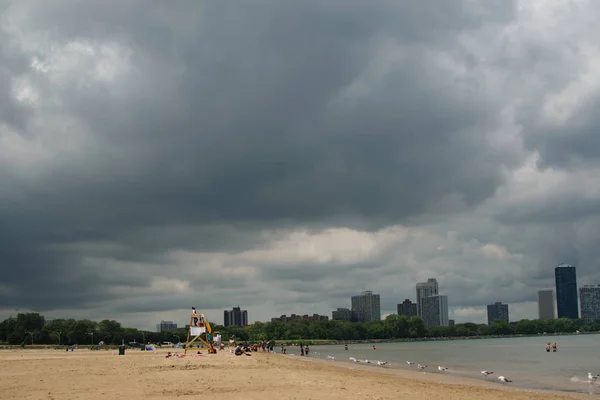 Möwen Montrose Strand Mit Der Stadt Chicago Hintergrund — Stockfoto