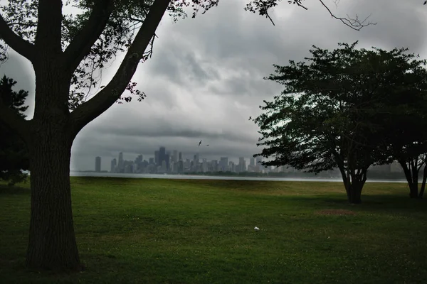 Blick Von Einem Park Auf Die Innenstadt Chicagos — Stockfoto