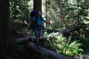 Adam ölü ağaç günlük köprüden Hiking 