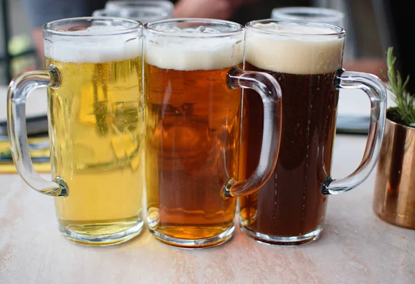 Craft Beer Steins With Different Colored Beers