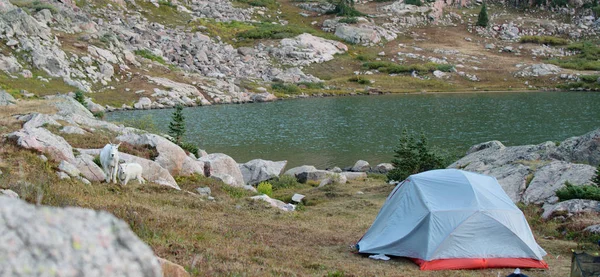 Vacker Sjö Med Camping Tält Fjärran — Stockfoto