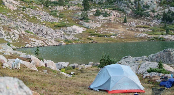 Vacker Sjö Med Camping Tält Fjärran — Stockfoto