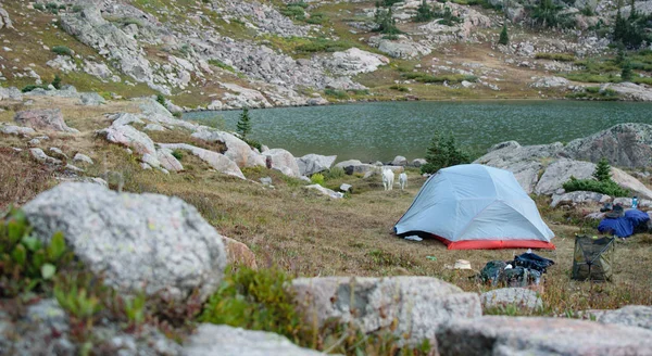 Vacker Sjö Med Camping Tält Fjärran — Stockfoto