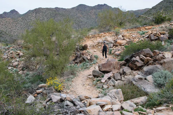 Vrouw Een Vuil Wandelpad Arizona — Stockfoto