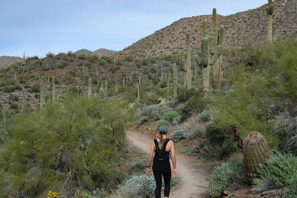 Millennial Hiking on Arizona Desert Trail 