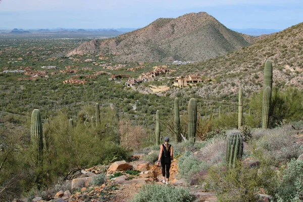Duizendjarige Wandelen Arizona Woestijn Trail — Stockfoto