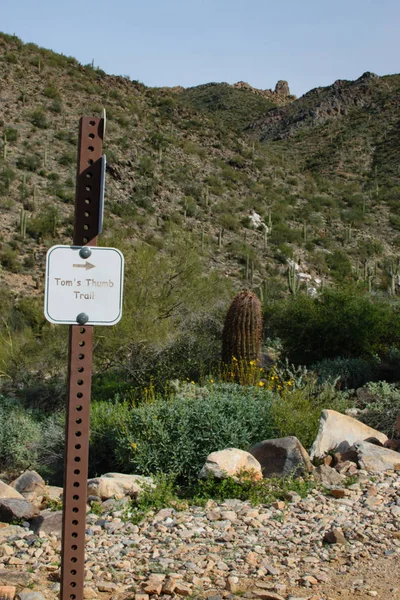 Scottsdale Arizona bulunan Tom Thumb iz işareti