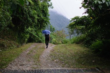 Şemsiye dışarı Ile Asya kadın yürüyüş Trail