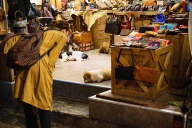 Çin dükkanında sokak köpekleri