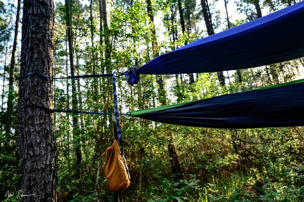 I hammocks che appendono su un processo di trekking — Foto Stock