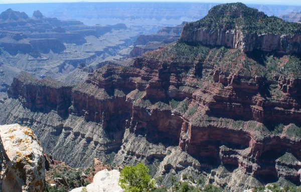 Grand Canyon National Park North Rim, USA.  Worlds 7 Wonders