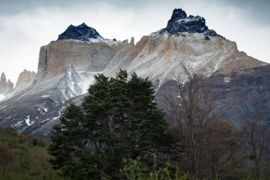 Torres del Paine Ulusal Parkı 'ndaki Paine Grande Refugio Kampı,