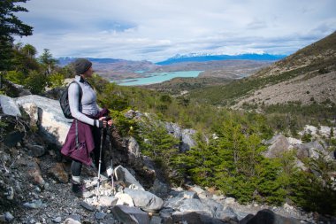 Female Hiker Overlooking Torres del Paine National Park, Patagon clipart