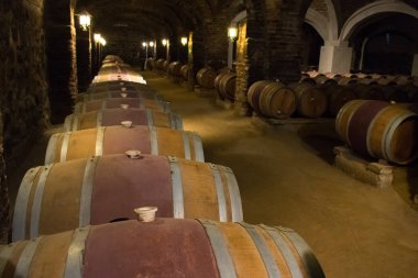 Yeraltı Şarap Depolama Kileri Yaşlanma Şarap Fıçıları