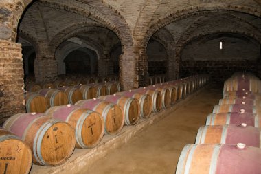 Yeraltı Şarap Depolama Kileri Yaşlanma Şarap Fıçıları