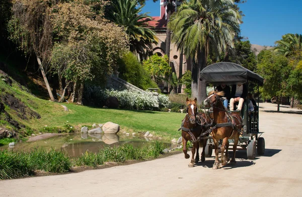 サンタリタ・ワイナリーでロマンチックな馬と馬車に乗るチリ — ストック写真