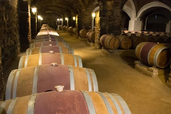 Podzemní vinný sklep s řadami sudů pro zrání vína — Stock fotografie