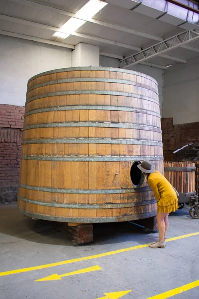 Žena objevující dřevěnou nádrž na víno Tour - Použitá nádrž — Stock fotografie