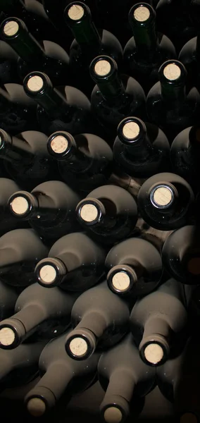 Řádky naplněných lahví vína za sebou v podzemní vinné sklepě — Stock fotografie