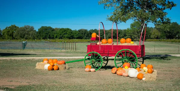 Carro de otoño rojo festivo que lleva calabazas fuera de una bodega de Texas —  Fotos de Stock