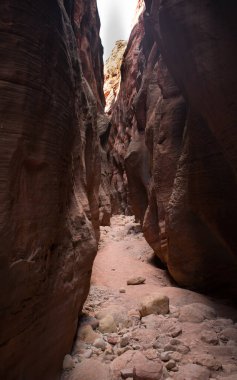 Antilop Kanyonu Yaz Işıkları ve Kayalıkları boyunca Arizona 'da