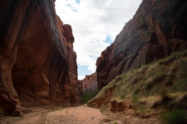 Antilop Kanyonu Yaz Işıkları ve Kayalıkları boyunca Arizona 'da