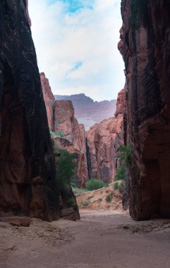 Antilop Kanyonu Yaz Işıkları ve Kayalıkları boyunca Arizona 'da
