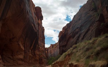 Antilop Kanyonu Yaz Işıkları ve Kayalıkları boyunca Arizona 'da