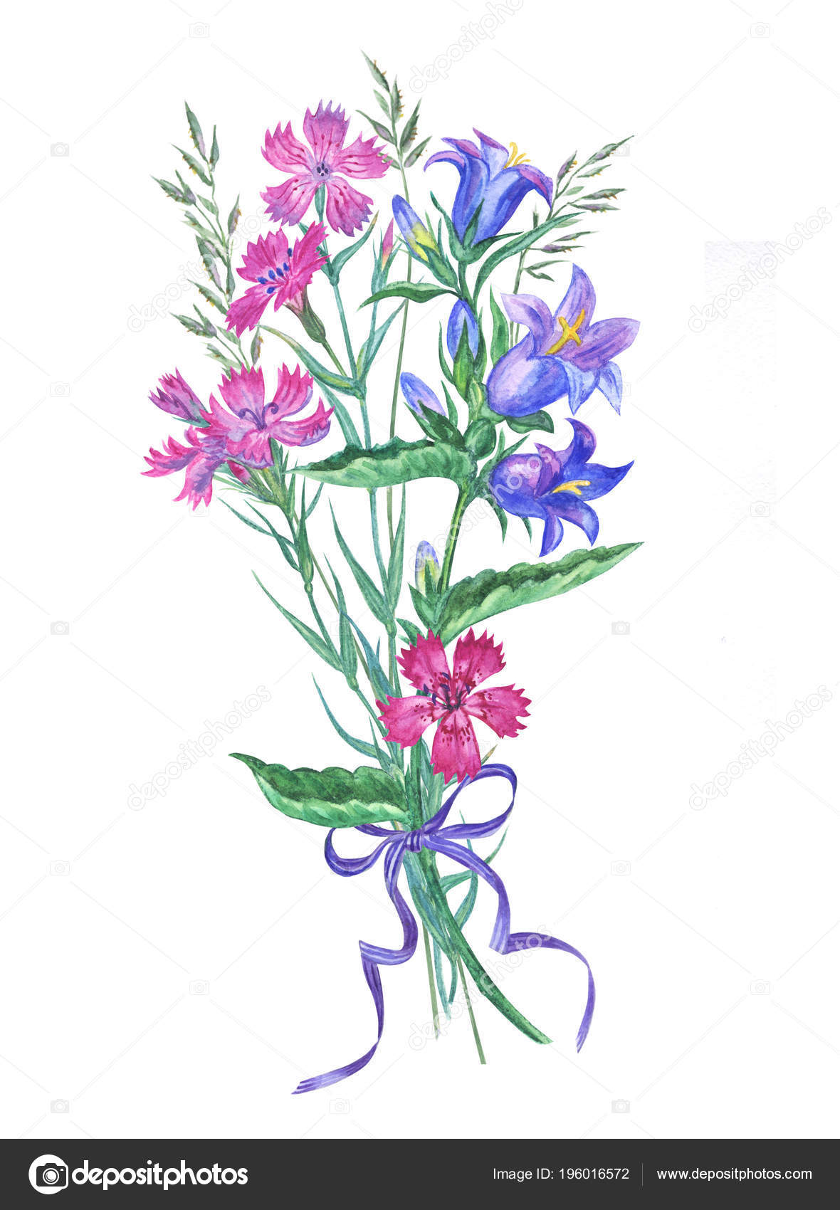 Bouquet Bluebells Field Carnations Watercolor Drawing White Background Isolated Stock Photo Image By C Ollga P 09