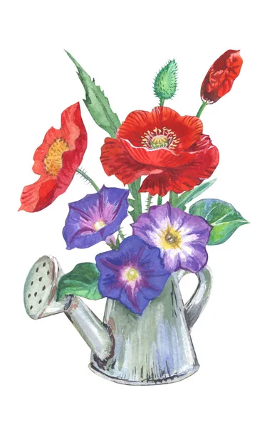 ポピー 水まき缶 水彩でヒルガオの花束を分離 白い背景の上描画 — ストック写真